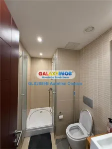 Garsoniera pentru inchiriat Calea Dudesti InCity Residence - foto 4
