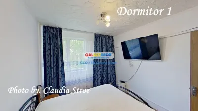 INCHIRIERE APARTAMENT 3 CAMERE NITU VASILE - foto 21