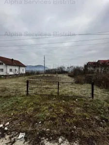 Teren de vanzare 25 arii - foto 2