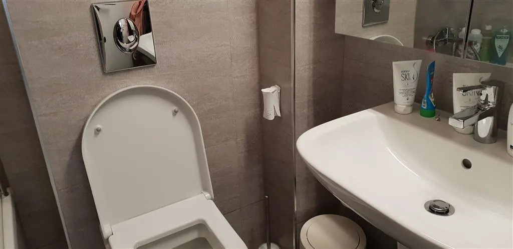 Inchiriere apartament  2 camere Ploiesti, zona Albert - foto 6