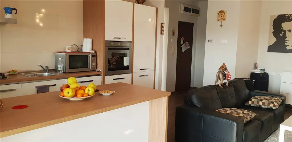 Inchiriere apartament  2 camere Ploiesti, zona Albert - foto 7