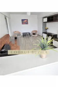 Inchiriere apartament 2 camere, parcare proprie, Ultracentral, Ploiest - foto 5