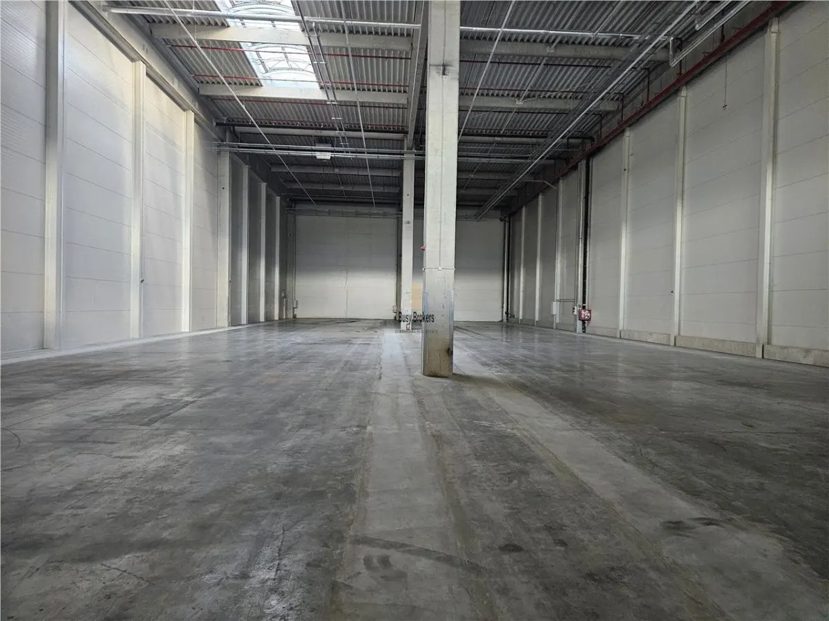 Spatiu Industrial - 5500 mp - Logistica - Productie - Depozitare - foto 15