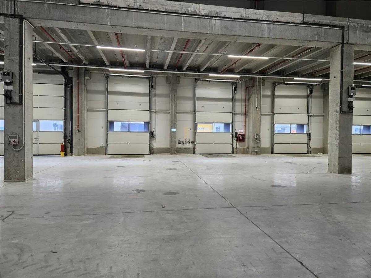 Spatiu Industrial - 5500 mp - Logistica - Productie - Depozitare - foto 4