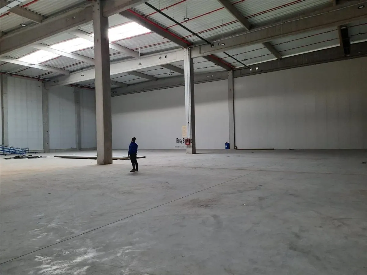Spatiu Industrial - 5500 mp - Logistica - Productie - Depozitare - foto 7