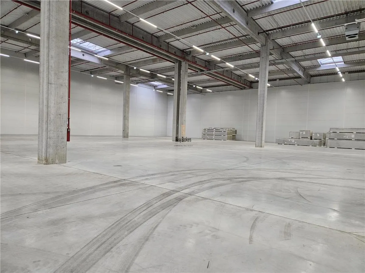 Spatiu Industrial - 5500 mp - Logistica - Productie - Depozitare - foto 8