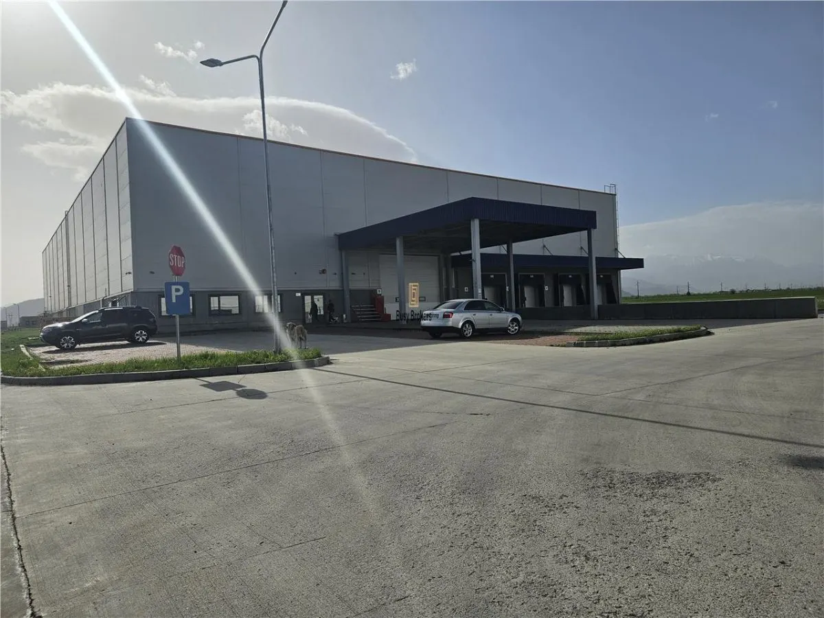 Spatii Industriale - 10000 mp - Logistica - Depozitare - Productie - foto 12