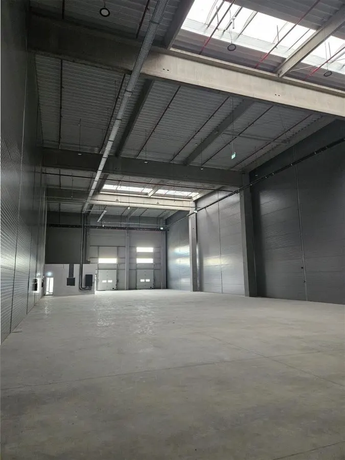 Spatii Industriale - 7000 mp - Logistica - Productie - Depozitare - foto 2
