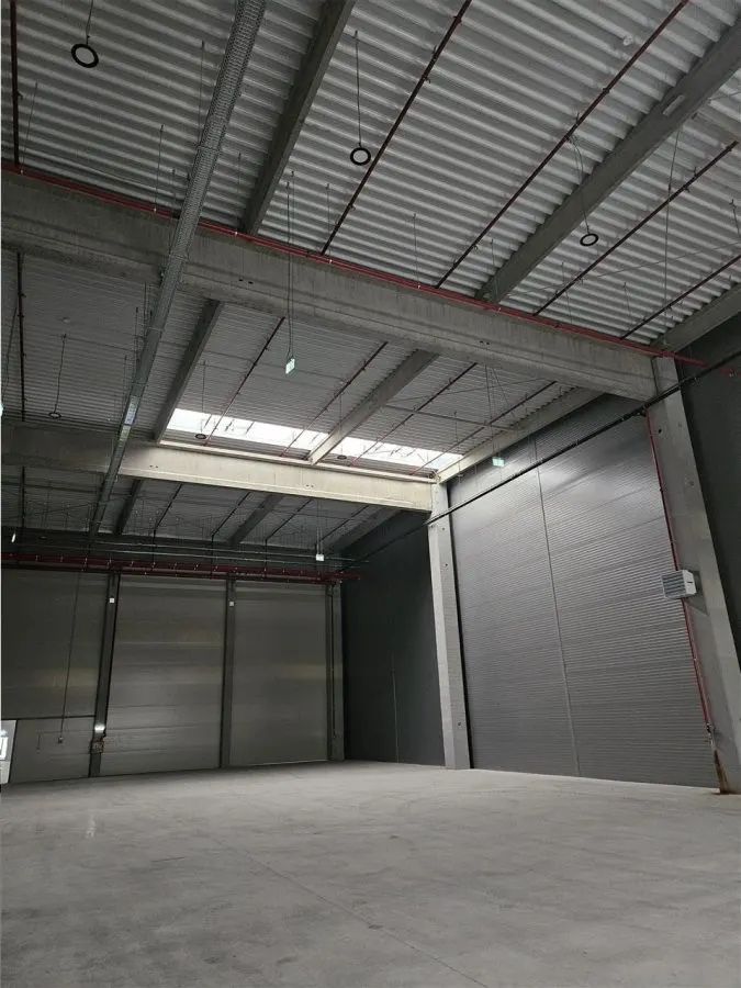 Spatii Industriale - 7000 mp - Logistica - Productie - Depozitare - foto 5