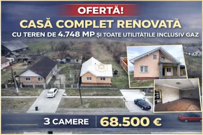 Casa cu 3 camere, renovata integral | Teren 5.000 mp | Borlesti - Borlesti