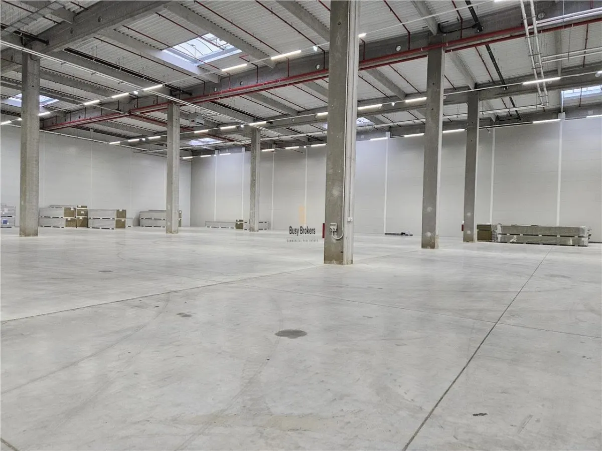 Spatiu Industrial - 2500 mp - Logistica - Productie - Depozitare - Distributie - foto 6