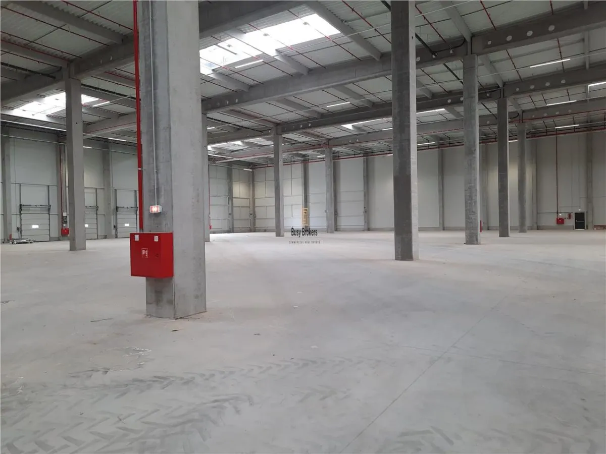 Spatii Industriale - 4500 mp - Logistica - Productie - Depozitare - Distributie - foto 6
