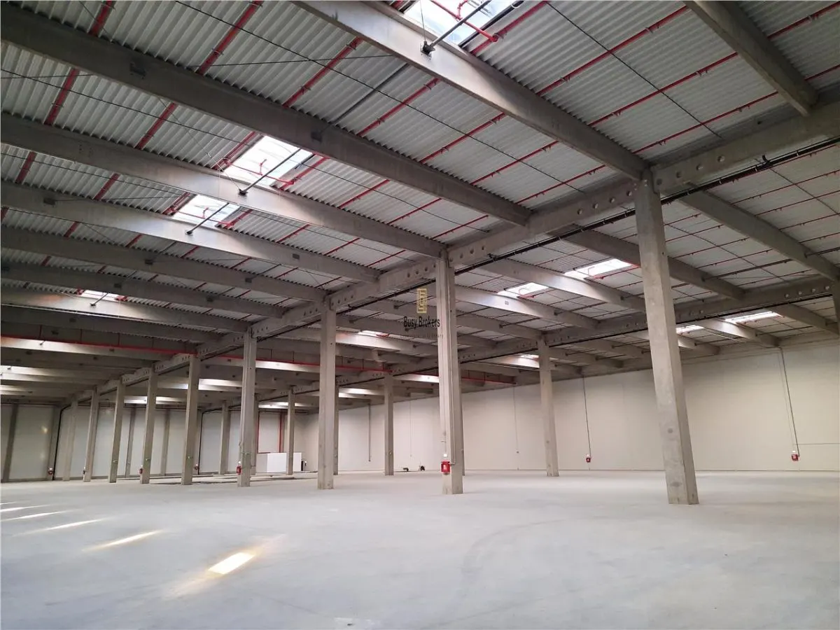 Spatii Industriale - 6500 mp - Logistica - Productie - Depozitare - Distributie - foto 2