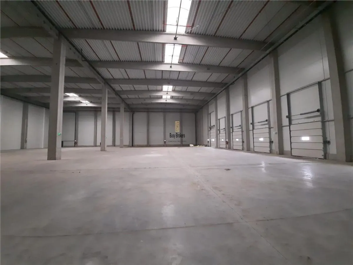 Spatii Industriale - 6500 mp - Logistica - Productie - Depozitare - Distributie - foto 11