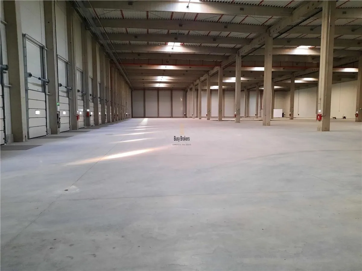 Spatii Industriale - 6500 mp - Logistica - Productie - Depozitare - Distributie - foto 10