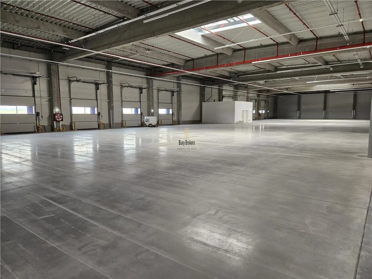 Spatii Industriale - 9500 mp - Logistica - Productie - Depozitare - Distributie - foto 12
