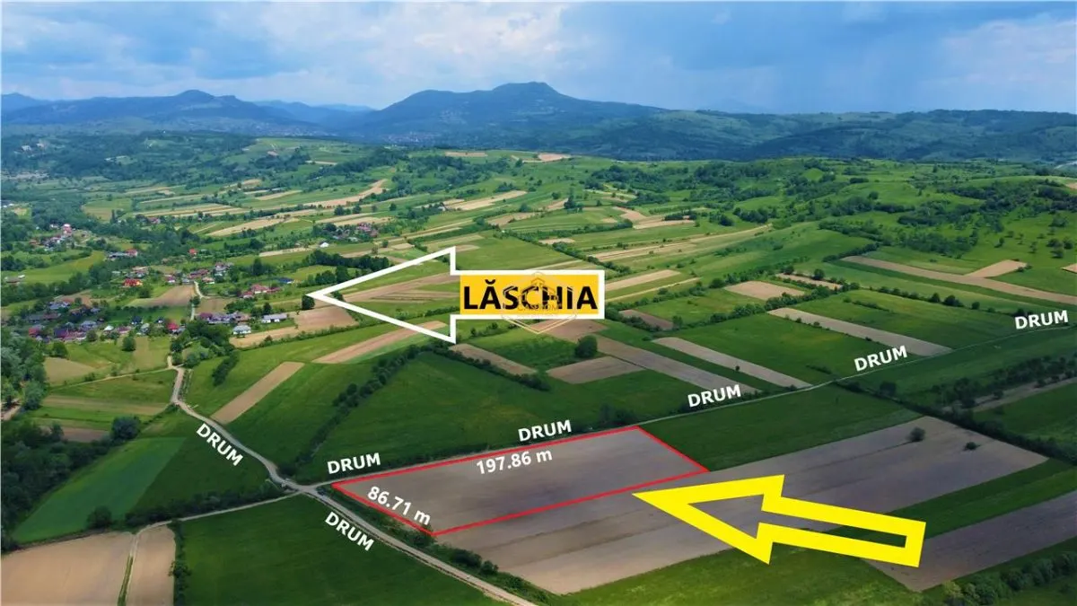 Teren - 14.755 mp in Maramures | Investitie - Recreere - Diverse Plantatii - foto 1