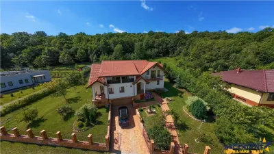 Refined ensemble, elite natural setting, 5 km from Corvin Castle. - Deva