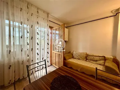 Apartament 1 camera  de inchiriat  Pacurari, - foto 4