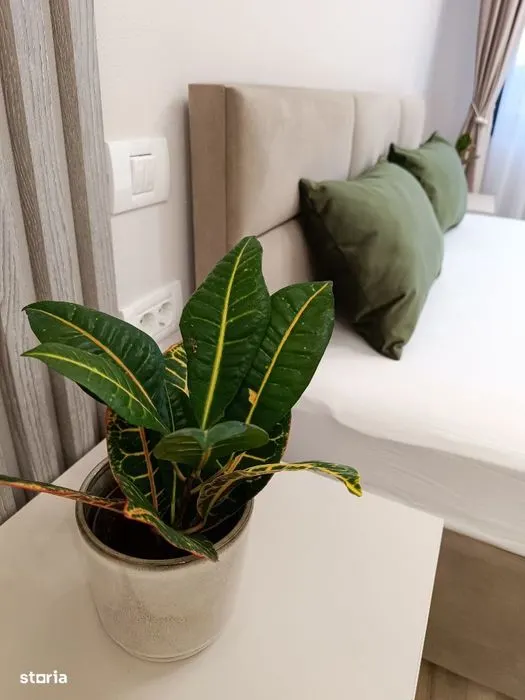 Apartament 2 camere elegant, luxos si luminos, Coresi, Tractorul - foto 13
