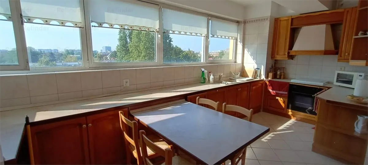 Apartament 3 camere 192mp | 3 terase | centrala proprie | garaj | boxa | Dorobanti - Charles de Gaulle | - foto 5