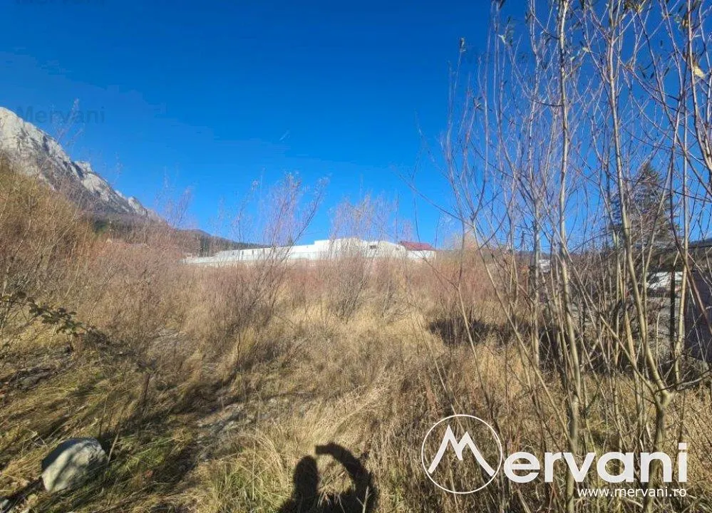 Teren intravilan de vanzare in Busteni - Zona centrala - foto 1