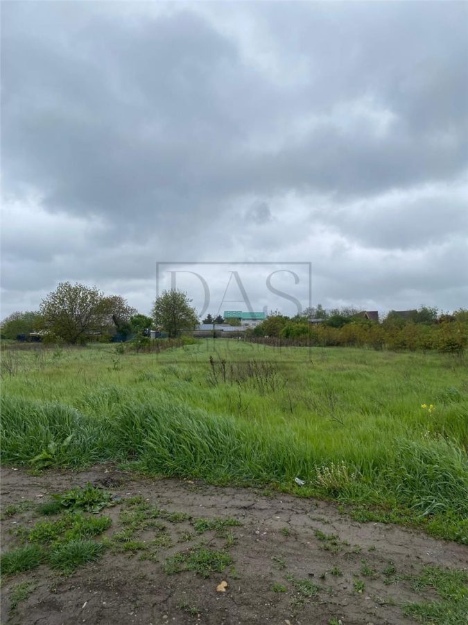Teren intravilan | 3993 mp | Ciorogarla, Ilfov | Utilitati - foto 15