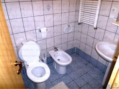 Inchiriere vila de lux 5 camere Exterior Est - foto 4