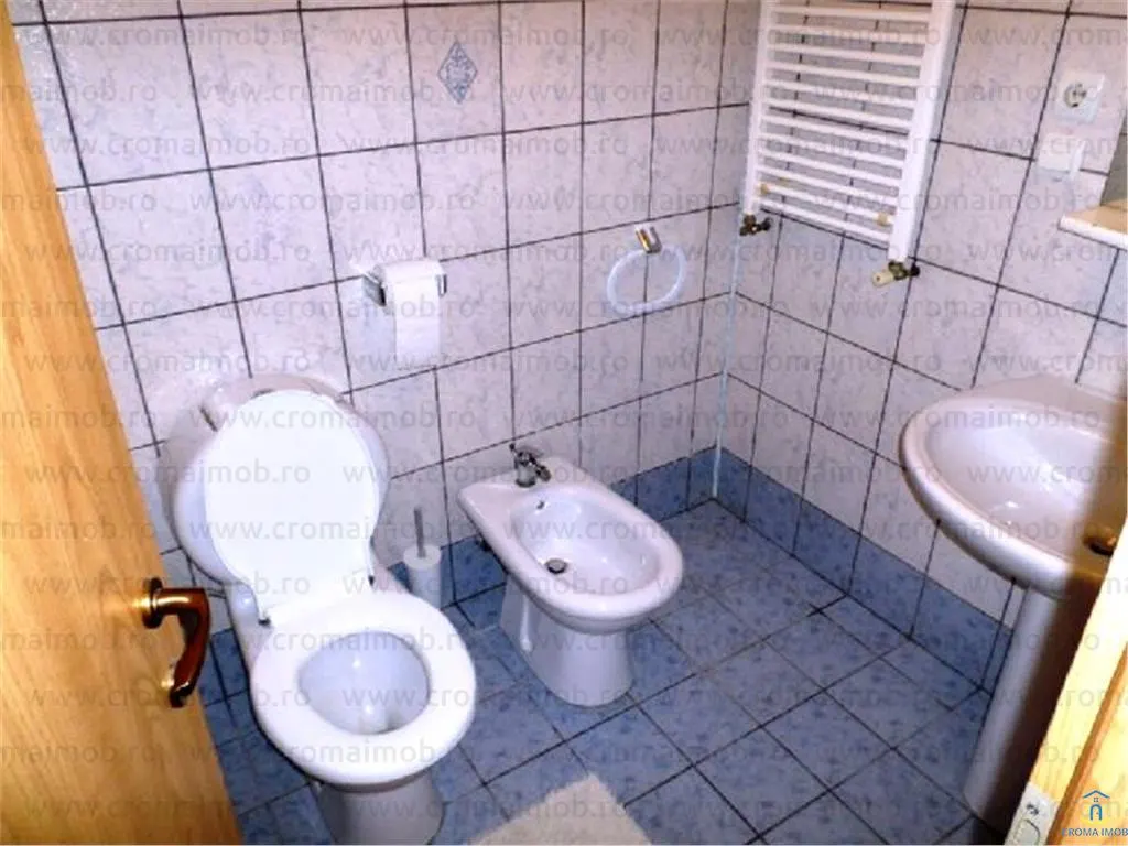 Inchiriere vila de lux 5 camere Exterior Est - foto 4