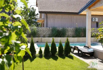 Vila lux 5 camere cu piscina in Dragomiresti-Vale - foto 9