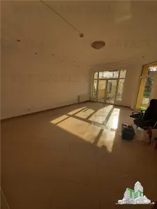Tineretului-vila individuala aproape  de metrou si parc --pozitie excelenta - foto 5