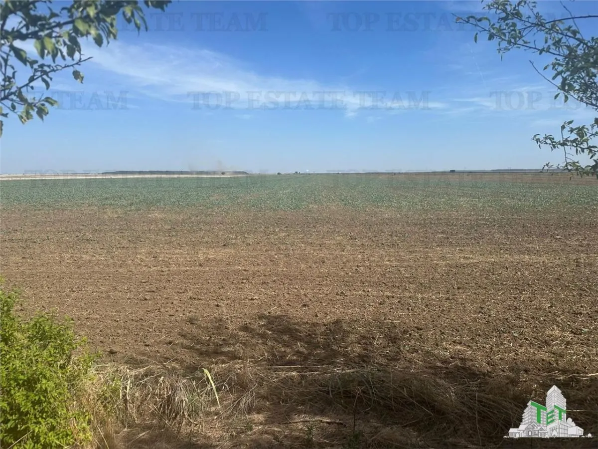 Vanzare teren intravilan construibil , Branesti-Ilfov, 7100 mp, ideal rezidenta sau investitie - foto 1
