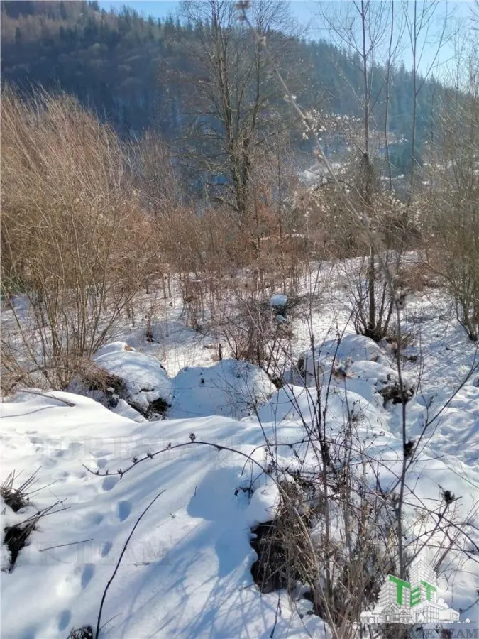 Teren Intravilan Sinaia 2255mp , ideal rezidenta pentru un refugiu montan, - foto 2