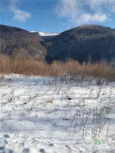 Teren Intravilan Sinaia 2255mp , ideal rezidenta pentru un refugiu montan, - foto 4