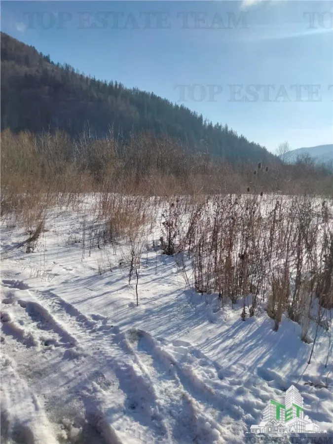 Teren Intravilan Sinaia 2255mp , ideal rezidenta pentru un refugiu montan, - foto 6