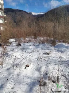 Teren Intravilan Sinaia 2255mp , ideal rezidenta pentru un refugiu montan, - foto 7