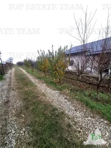 Teren Intravilan Moara Vlasiei 963 mp, Zona Superba, - foto 4