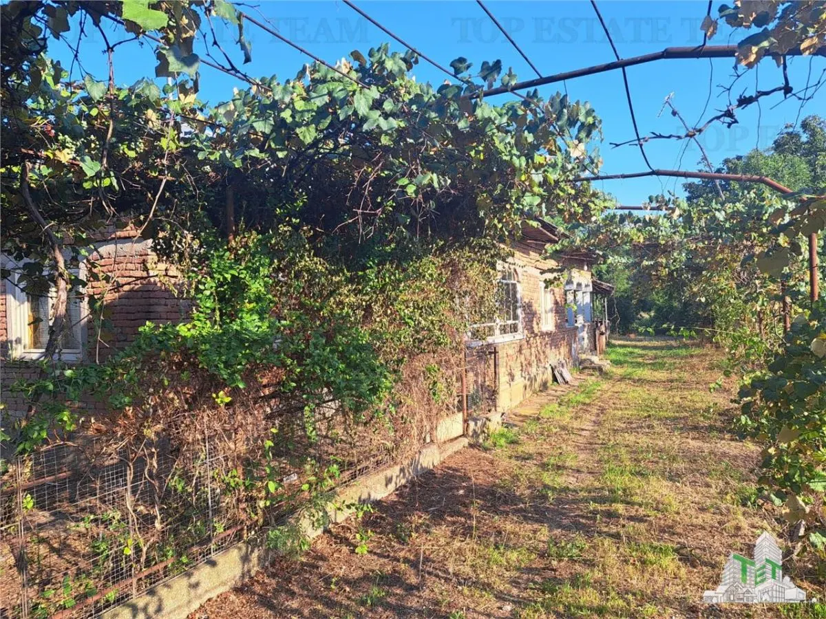 Casa cu teren 3579mp in com. Cascioarele, Jud. Giurgiu - foto 3