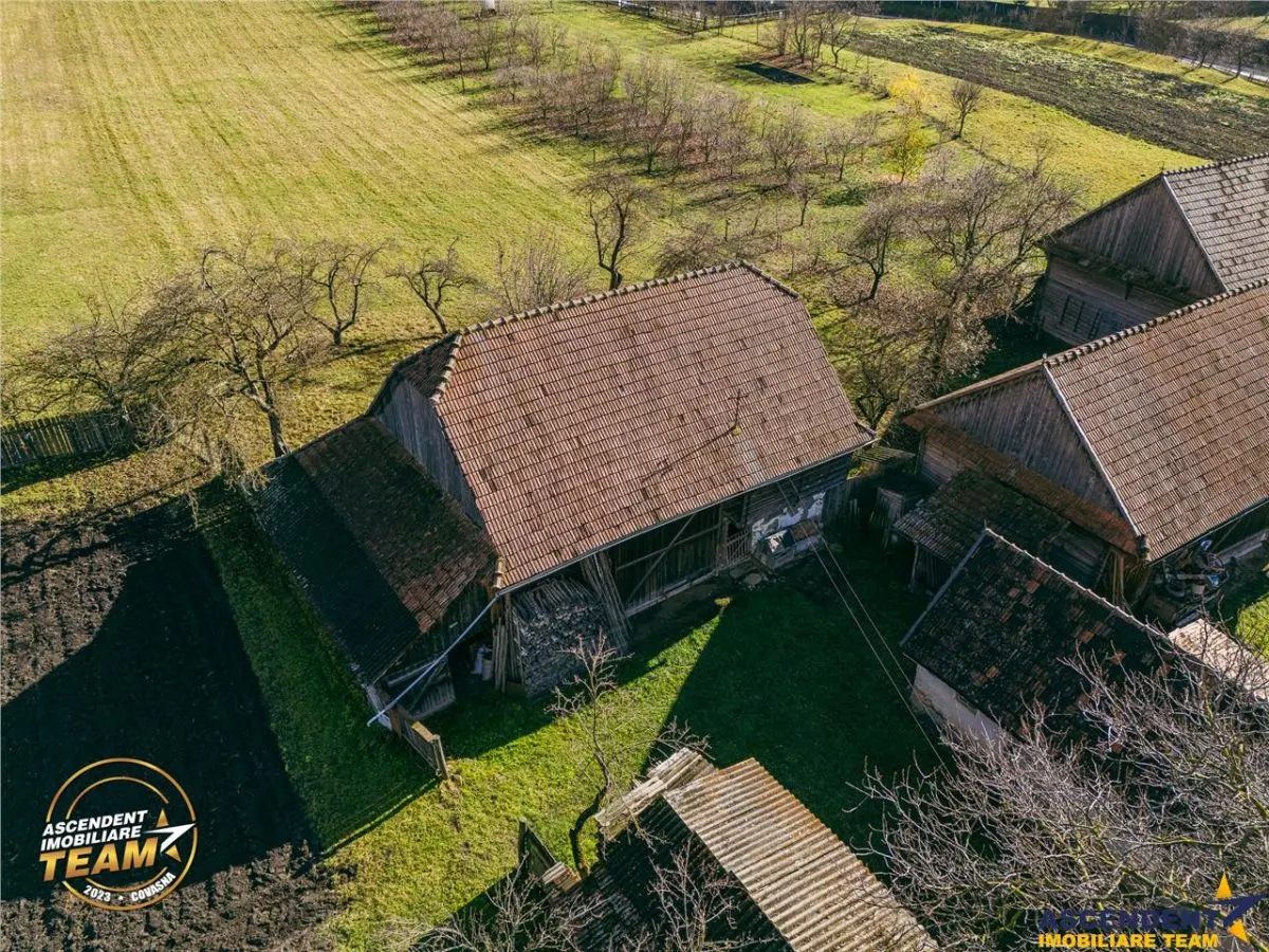 FILM! Domeniu de 6.221mp, livada pomi fructiferi+casa si anexe,Lemnia, Covasna - foto 16