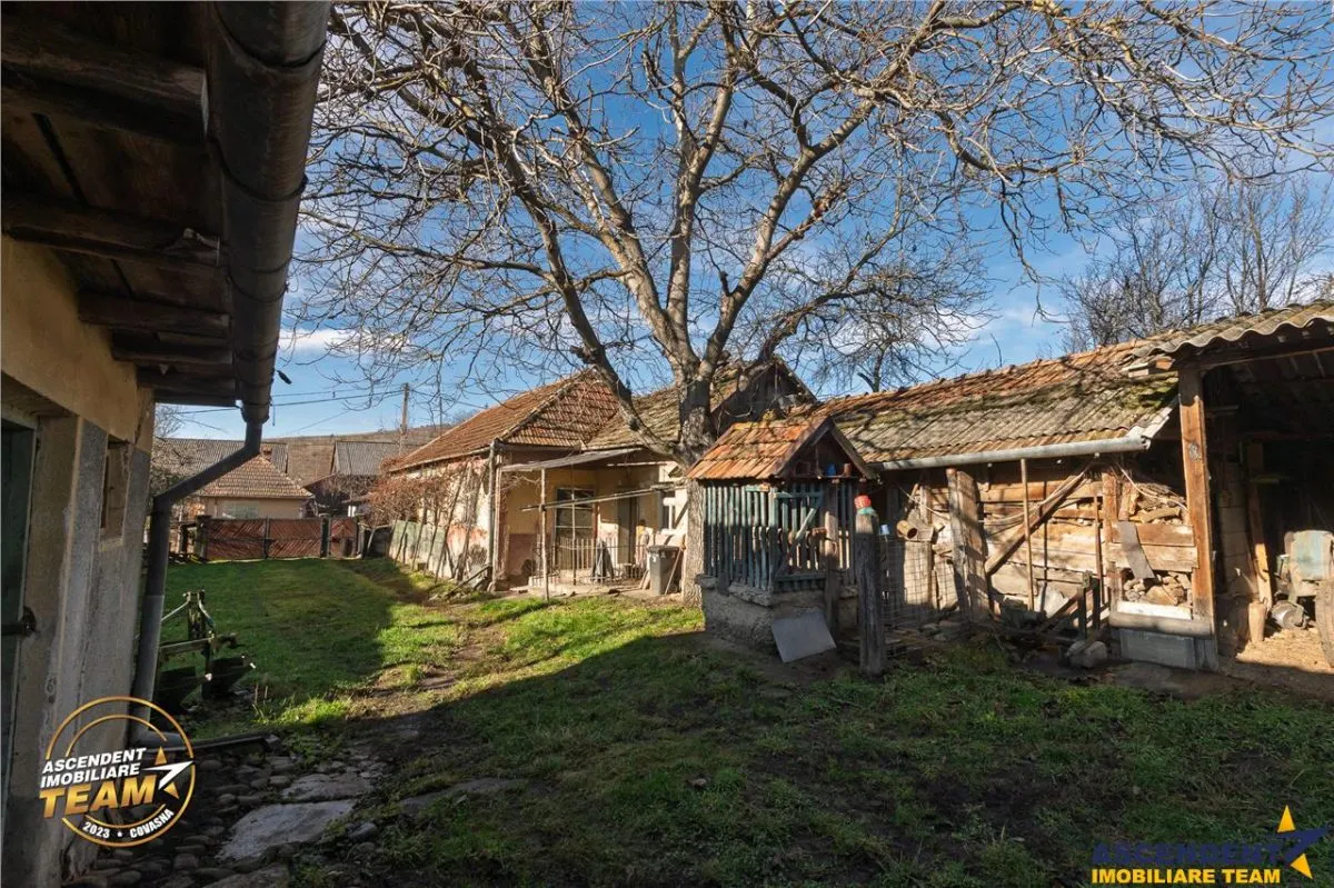 FILM! Domeniu de 6.221mp, livada pomi fructiferi+casa si anexe,Lemnia, Covasna - foto 18