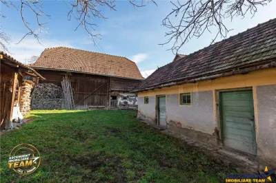 FILM! Domeniu de 6.221mp, livada pomi fructiferi+casa si anexe,Lemnia, Covasna - foto 10