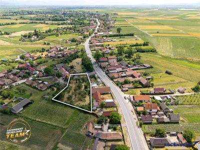 FILM! 2.700mp teren cu casa personalizabila, pomi fructiferi,langa Sfantu Gheorghe: Santionlunca - Santionlunca