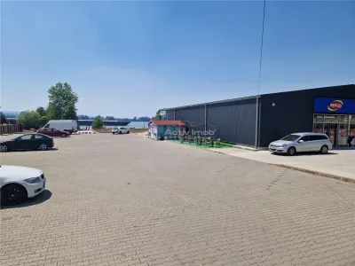 Moldova Noua, Teren Drept Intravilan 1628 Mp., pe malul Dunarii, Vanzare sau Inchiriere - foto 11