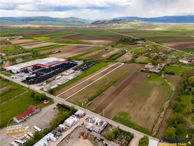 FILM! 5.000 mp teren, la marginea orasului Targu Secuiesc, aria industriala - foto 4