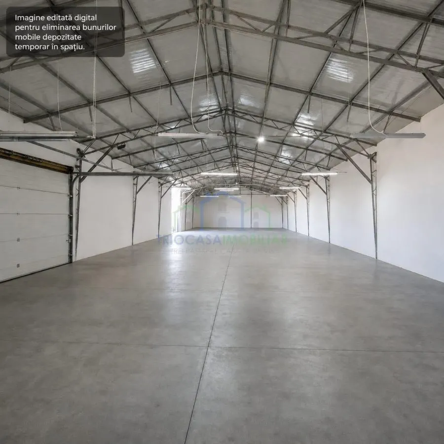 Doua hale in suprafata de 357  mp respectiv 475 mp si 5423 mp teren intravilan in Isalnita - foto 2
