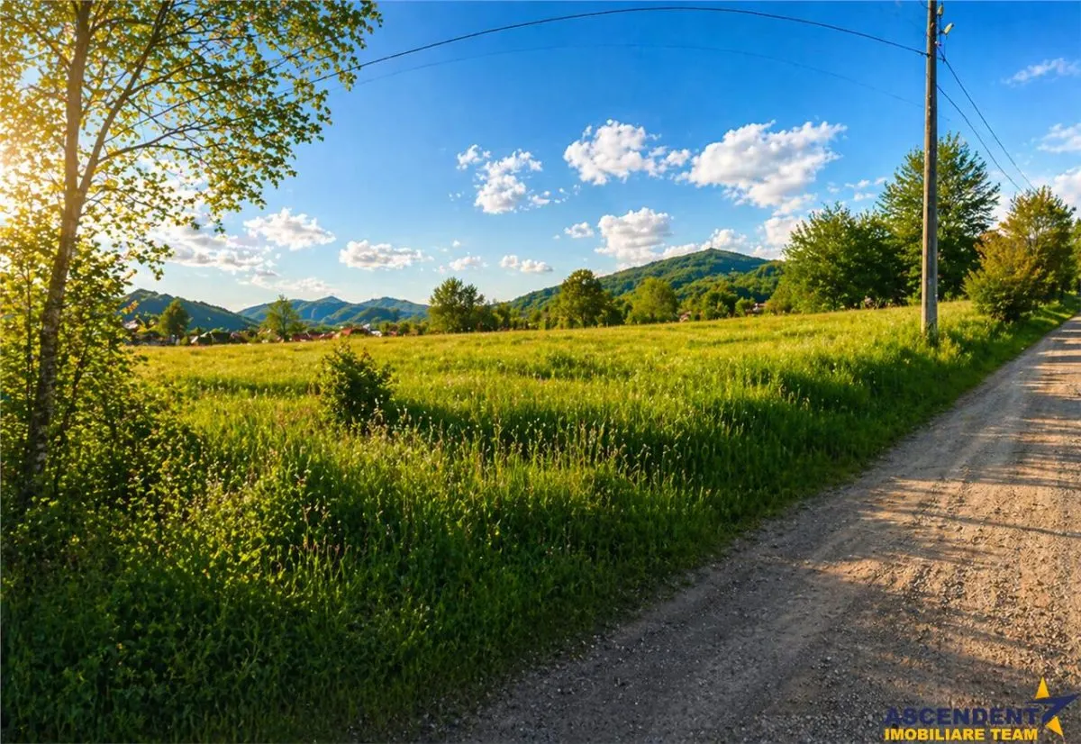 Teren intravilan panoramic, 5.750 mp, view munte, deschidere apreciabila, Ibanesti,  Mures - foto 3