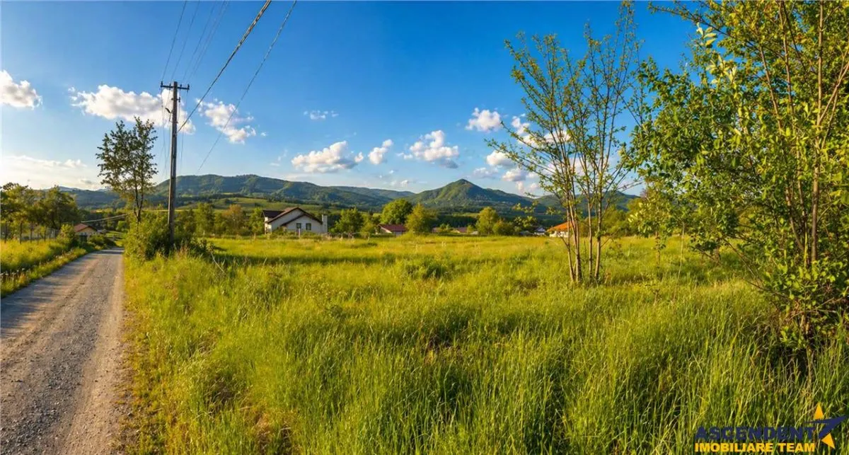 Teren intravilan panoramic, 5.750 mp, view munte, deschidere apreciabila, Ibanesti,  Mures - foto 6