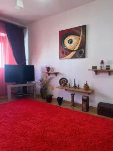 Apartament 3 camere Pacurari - foto 3