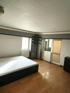 Apartament  de inchiriat cu o camera Pacurari - foto 2