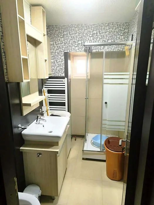 Apartament  de inchiriat cu o camera Pacurari - foto 5